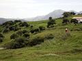 _MG_0273-01