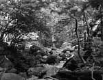 Ramapo Reservation, Mahwah, NJ