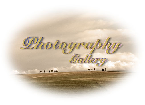 Photography Gallery